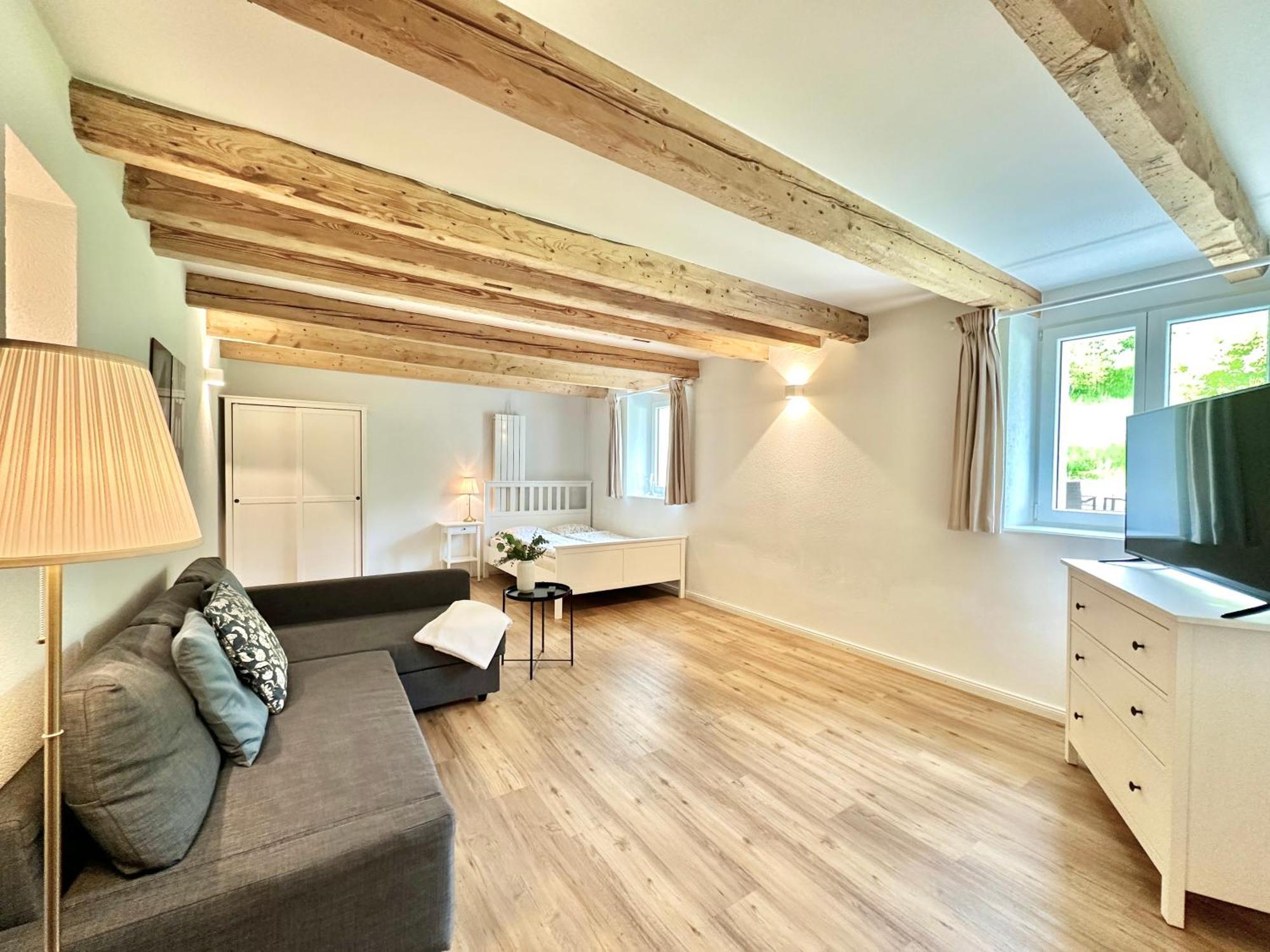 Apartment Furnished Living In Guensberg Solothurn Gunsberg